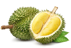 Tổ hợp tác sản xuất Sầu riêng Nhơn Bình